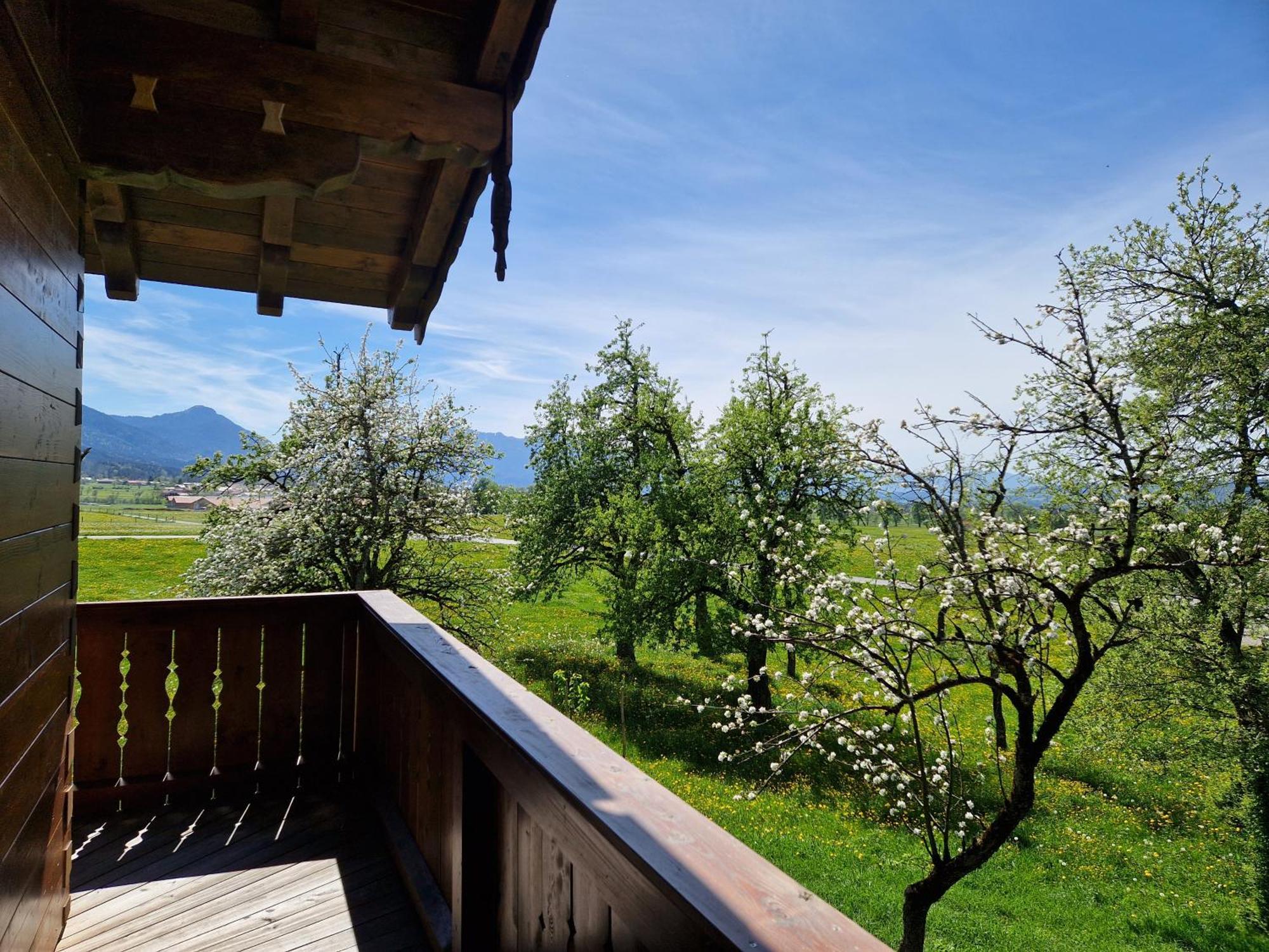 Bergeblick Bichl An Der Ludlmuehle Appartement Buitenkant foto